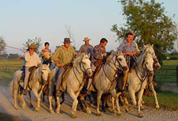 Team building Camargue