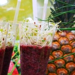 Animation de stand bar à smoothies Salon-de-Provence