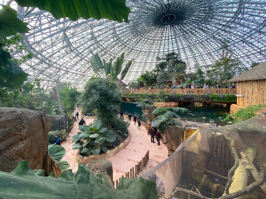 un séminaire au Zoo de Beauval - Saint-Aignan