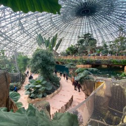 un séminaire au Zoo de Beauval - Saint-Aignan